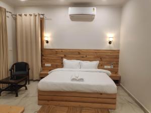 Shepherds Of Dharamshala