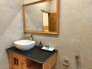 Shepherds Of Dharamshala