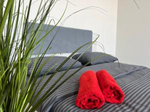 Апартаменти Замонастирська