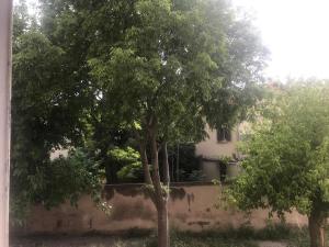 velodrome stadium, apartment