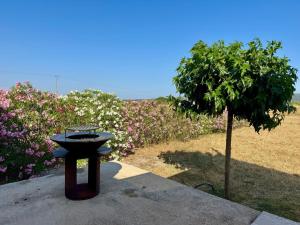 Villas Villa 8-10 pers, 4 suites : photos des chambres