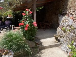 B&B / Chambres d'hotes Chambre d'Hotes les 3 Cochons d'Olt : photos des chambres