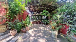 Maisons de vacances La Verriere des Songes : photos des chambres