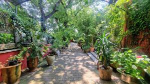 Maisons de vacances La Verriere des Songes : Maison 3 Chambres