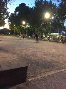 Maisons de vacances T3 vue mer 100m jardin : photos des chambres