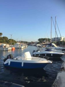 Maisons de vacances T3 vue mer 100m jardin : photos des chambres