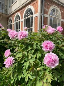 B&B / Chambres d'hotes Le Clos de Marguerite : photos des chambres