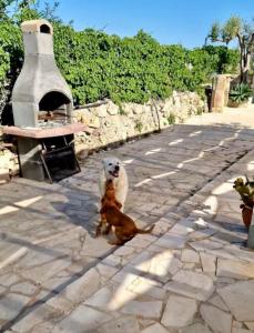 Cozzo Spadaro B&B OnlyRooms