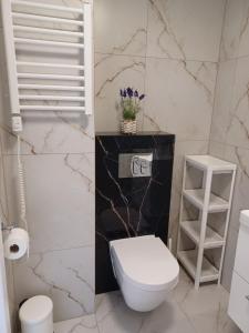 Błękitne Zamorze i Domki Premium Niechorze