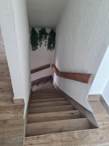 Appartements Duplex with Lake Geneva view : photos des chambres