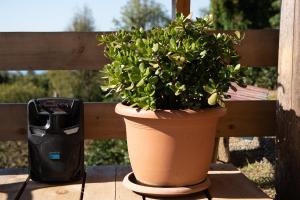 GoldenSeaView TreeHouse with Small Private Pool