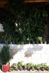 GoldenSeaView TreeHouse with Small Private Pool