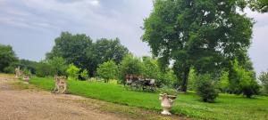 B&B / Chambres d'hotes Chateau St Sulpice : Chambre Double - Vue sur Jardin