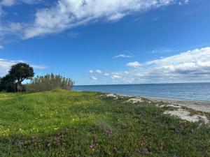 T3 résidence privée proche plage et piscine - Ubytování bez kategorie ve městě Poggio-Mezzana