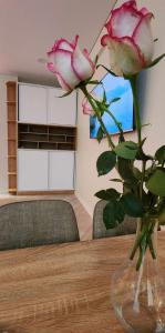 Bamboo Beach Tsikhisdziri 347K