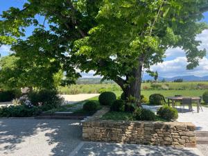 Villas Mas des Vignes : photos des chambres