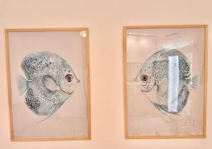 Apartamentos Ana Marbella centro