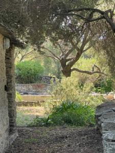 Maisons de vacances Libres 5 Chambres a Saint Florent Haute Corse Prix a debattre : photos des chambres