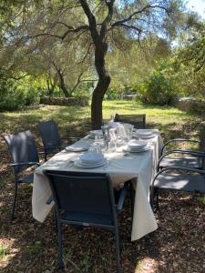 Maisons de vacances Libres 5 Chambres a Saint Florent Haute Corse Prix a debattre : photos des chambres