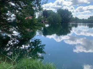 La Ramure - Tiny chalet et sauna privatif, vue lac et pêche en famille