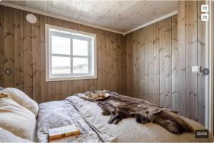 Modern mountain escape