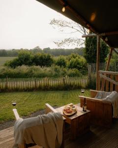 Dragonfly Riverdale Yorkshire