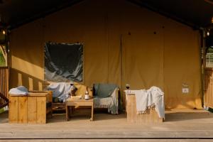 Dragonfly Riverdale Yorkshire