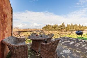 Appartements A Pincu, Rural et Atypique : Appartement 1 Chambre