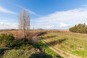Appartements A Pincu, Rural et Atypique : photos des chambres