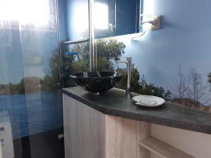 Hausboot-schwimmendes-Ferienhaus-im-Havelbogen-Haus-auf-dem-Wasser