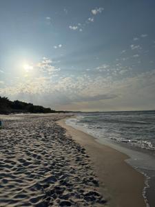 Morelka Władysławowo