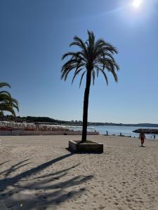 Appartements Grand studio sur le port de Golfe Juan : photos des chambres