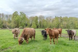 B - Porch Suite on Miles Smith Farm