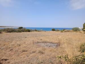 Private apartment ,surrounded by nature,50m from the sea