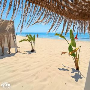 Il giardino degli agrumi BY SALENTOVACANZEAFFITTI