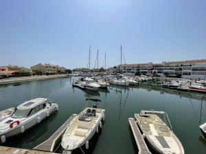 T2 rénové avec cabine, piscine, animaux admis, parking à 500m de la plage - FR-1-106-49