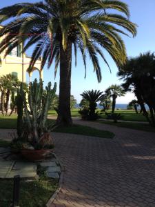 A terrace overlooking the sea