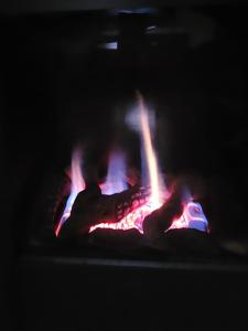 Zentrales Apartment am Rosengarten in Bad Kissingen