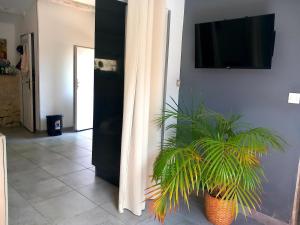 Appartements coeur de village : Appartement 1 Chambre