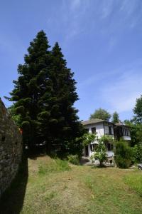 Guesthouse To kalivi