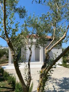 Villa Oliver