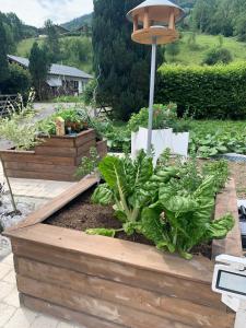 Appartements La Riviere Sage : photos des chambres