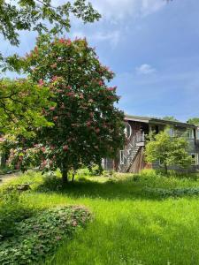 Plaats De Kleine Aarde