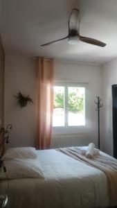 Hotels Chti Moutchico : photos des chambres