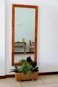 Casa Hibiscus Zaachila 2 A