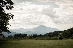 Apartment and rooms Špes 