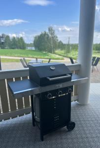 Mansikkaniemen Lomakeskus