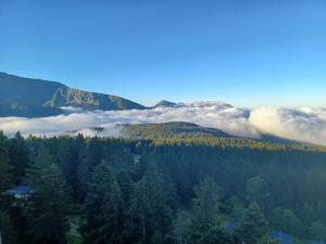 Appart'hotels Residence l'Ecrin des Neiges : photos des chambres