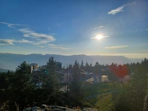 Appart'hotels Residence l'Ecrin des Neiges : photos des chambres