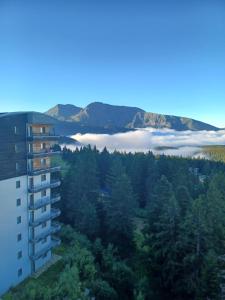 Appart'hotels Residence l'Ecrin des Neiges : photos des chambres
